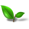 Sylhet Cafe.- Halal Restaurant Inc.
