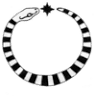 Synapsis Nova