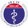 Gia Lai Province Health Department