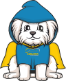 Szolnok City Animal Shelter Foundation