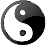 Yang Tse, Tai Chi Chuan À Lyon