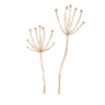 Ltd. Tirre