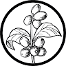 Tamarindo Coffee Roasters
