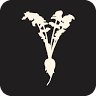 Taproot