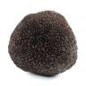 Istrian truffle