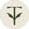 Taylor Young LICSW