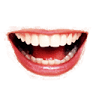 Coquitlam Orthodontics