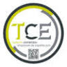 TCE DISEÑO Y FORMACION