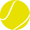 Tennisplatz Punitz