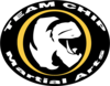 Team Chip Tae Kwon Do