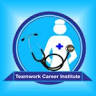 Teamwork Career Institute