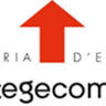 Tegecom Lleida S.L.P.