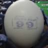 Telor asin *99*
