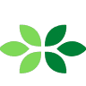 Tenement Services Australia