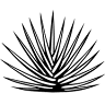 El Tequileño Tequila