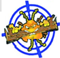Termite.com (PVT) Ltd (household pest management and anti termite treatment)