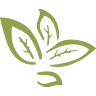 Terra Environmental Research