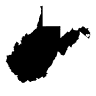 Tessoterica
