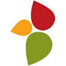 Teton Valley Foundation