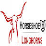 Horseshoe B Longhorns