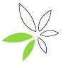 Nuad Thai - Traditionelle Thaimassage