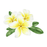 Thai Lanna Wellness
