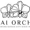 Thai Orchid