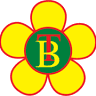 Thanh Buoi Bus