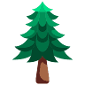 The Abies