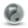 The Acupuncturists