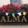 The Alma