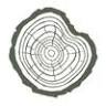 The Arborist