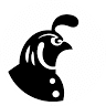 Black Quail