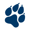 Blue Wolf Tavern