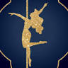 The Brass Bar - Boutique Pole & Dance
