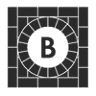 The Burrow