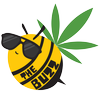 The Buzz
