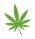 The Cannabis Retail Store Leamington