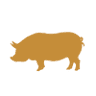 Coolinary and the Parched Pig