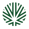 The Dab Recreational Marijuana Dispensary Glenwood by Silverpeak