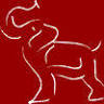 The Elephant Trail