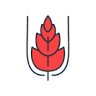 The Empourium Brewing Company