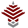 THE EQUITY TEMPLE