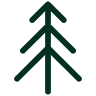 The Evergreen