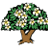 The Frangipani Farm