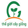 Thế Giới Cây Giống Cái Bè QL 30