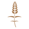 The Grateful Bread Company