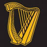 The Irish Bank