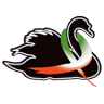 il Cigno Italiano