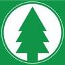 Knotty Pine